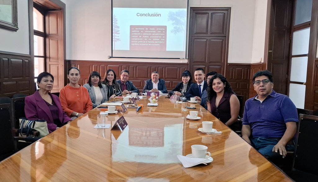 Capital inicia proceso para reconocer árboles patrimoniales